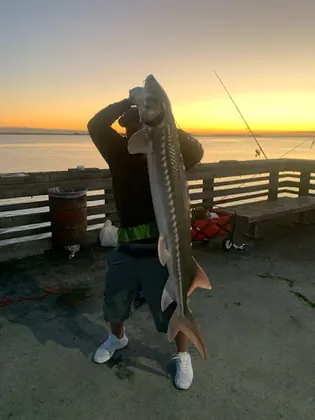 Gotcha Bait & Tackle, Inc., business photo 2