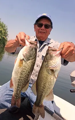 Gotcha Bait & Tackle, Inc., business photo 3