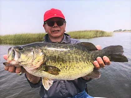 Gotcha Bait & Tackle, Inc., business photo 4