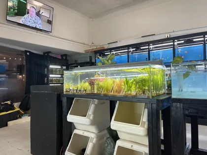 JJ Aquarium, business photo 4